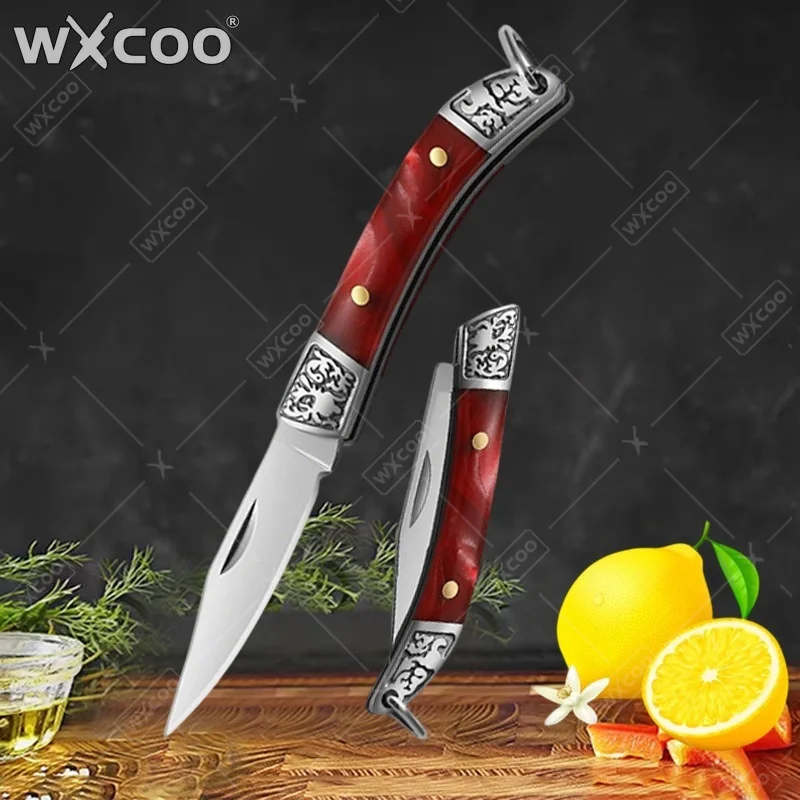 WXCOO 가정용 미니 칼 스테인레스 스틸 접이식 포켓 - Miniature Baking Kitchen 리뷰 및 가격