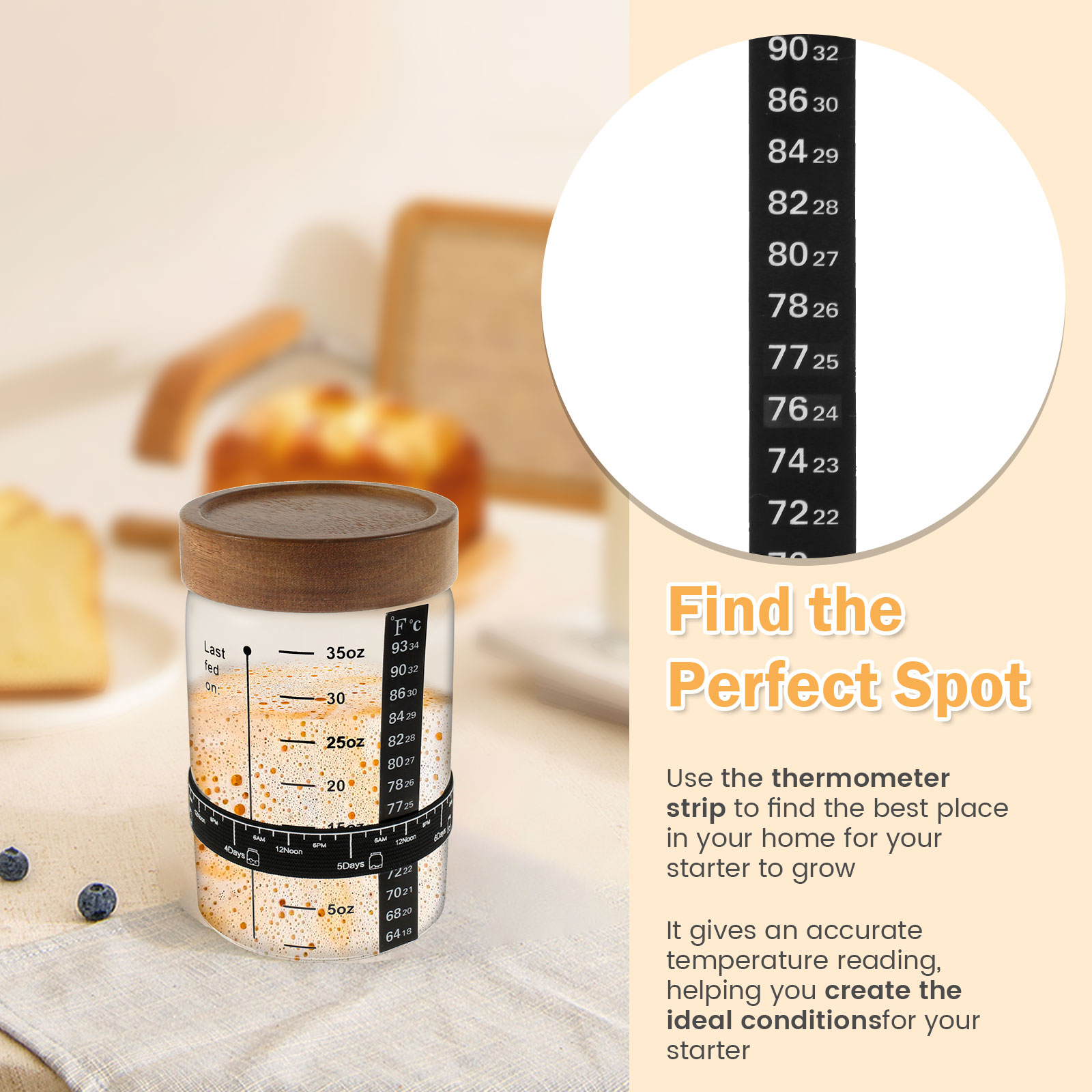 Sourdough 스타터 항아리 키트 1000ml 반죽 - Kitchen Baking Containers 리뷰 및 가격